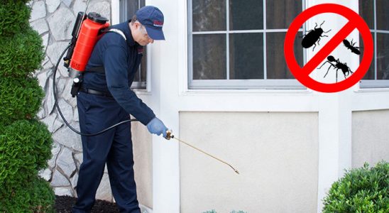 Sivrice Böcek İlaçlama böcek ilaçlama ve haşere kontrolü — ilaclama-tr.com